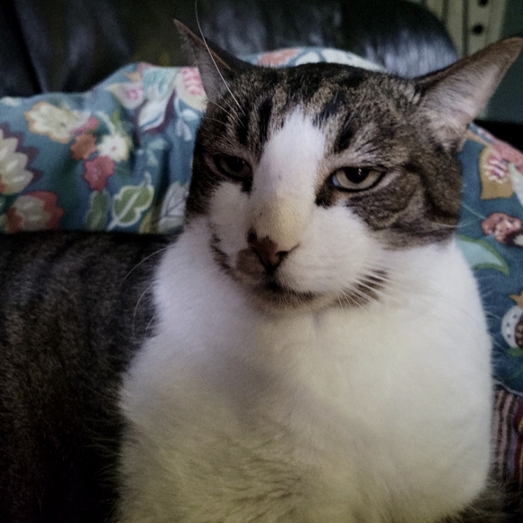 Meet your Posher, Jennifer - Picture 1 of 5